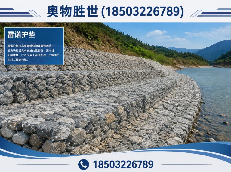 海口雷诺护垫展示图
